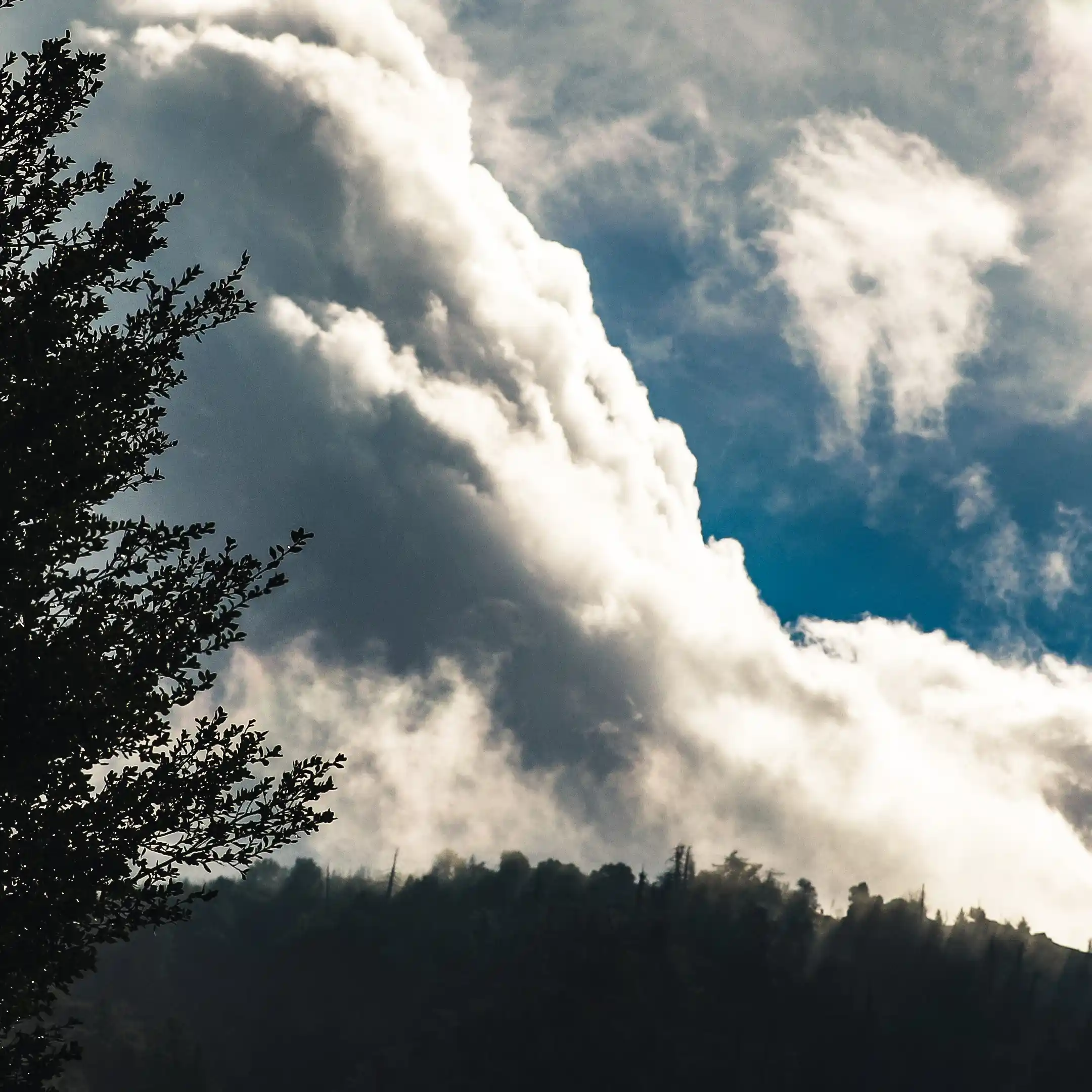 inscription 065e9d6a63c3e1896d4cef54adb46d3c92aa3c299e0b0cc1ffe02402c277c6d3i0