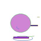 inscription 192e279fd1f7efc2cf155c1e41d5ff1cdb95358fbebfac555cd00dfd80aa6225i0