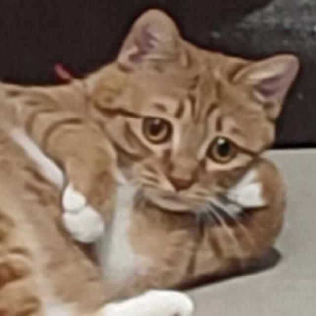 inscription 19a9f3876768c9ae0036dc65fcd0082359e14a8384dc4bd37d1ab94de3aab498i0