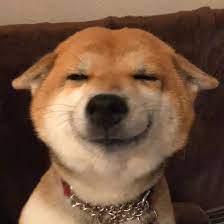 inscription 1c9fa092dcfa65f3ef69b862196b471c3beabf331a6a3e04a8aec8ff05b60c0ei0