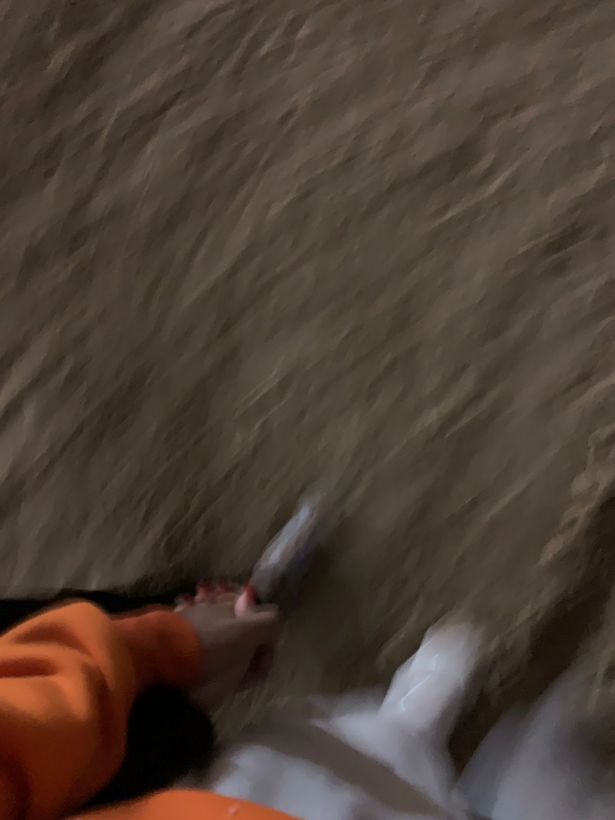 inscription 236faa12d22caa1c08fe8c30762327f1216d7484f9d03f27db66b671636696b8i0