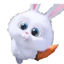 inscription 243a13fbdcbb9e4d37d4e8ef913d6433ea3f09a2b1351b907f8268e2bf197caai0