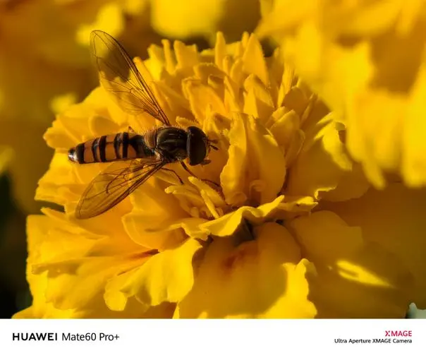 inscription 2a7afc7a6eb6446fcb36cbed79e00a006ae27fb284a2a915fb2b5eef89bb453ei0