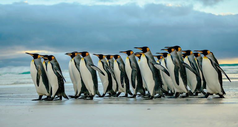 inscription 32afccaf8e250bfafeed05eb416cbbdeff6787b5bc1256661e1e93f12921ebb3i0