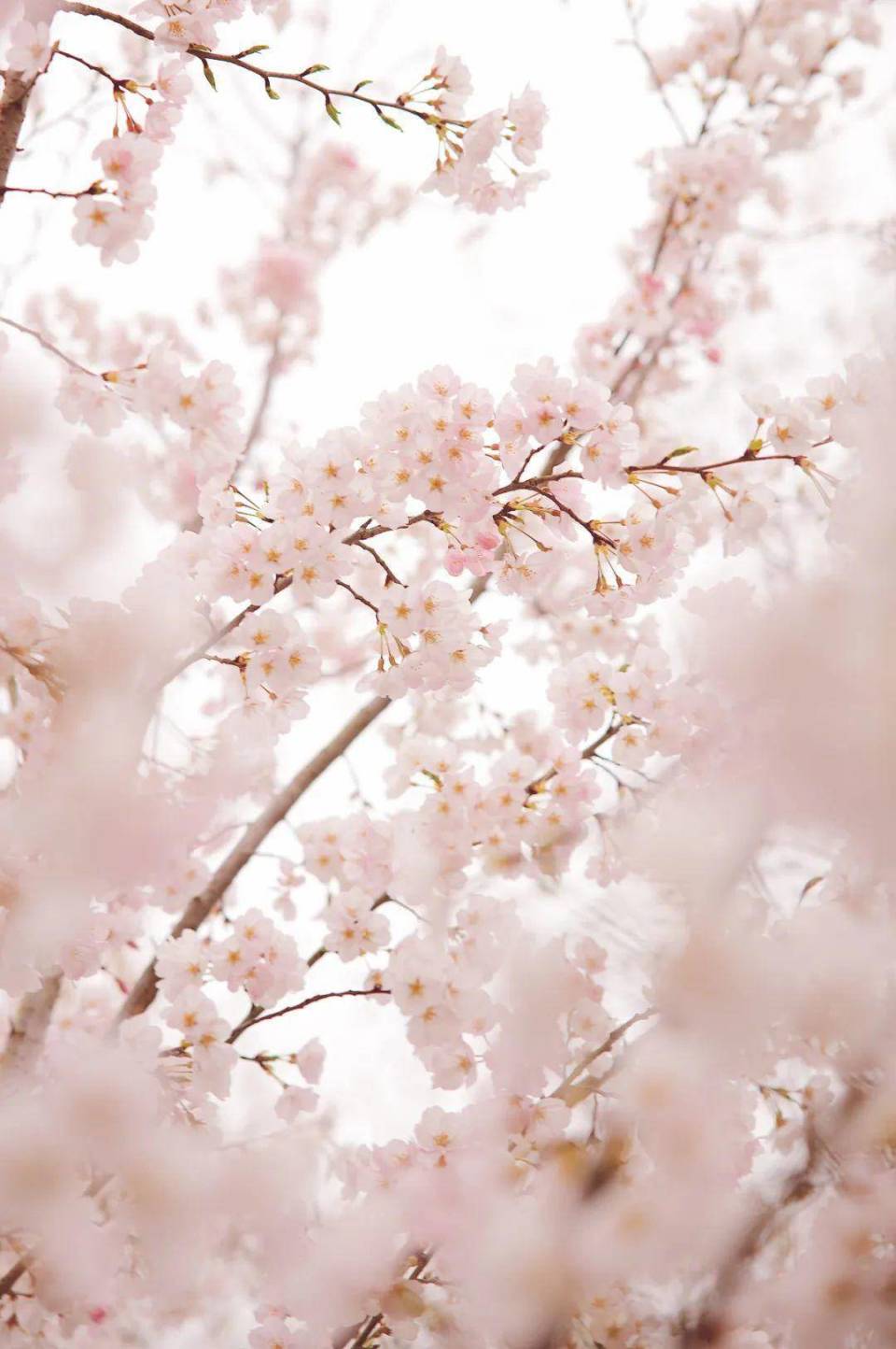 inscription 3ceed5367276140857873075599865181e99f9ccccf7f033af8b79b6d01dbbf7i0