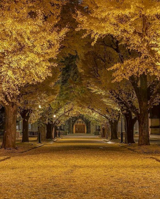 inscription 3d6ab00a66b1a6a7dbb043d514b0da28dd1e6936a3f85267ef79a4a5b93a9ce2i0