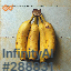 inscription 3ef942a93ef76a67a59cef781927c0756c83e0035f1e2ca5b5b75c6bcfb95053i0