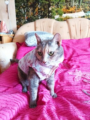 inscription 48e2c8ad7bb23bb5d080b87eba73e35a64b2d54f4fffa30db12da583ee3f4bdbi0