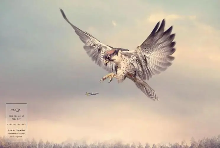 inscription 4cc008d97f06e6e5bd59bc29cefb29fe12ffe126b9b2e8f1c19ab44ddbc61b87i0