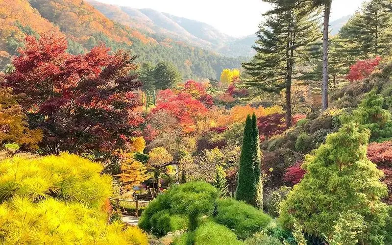 inscription 4f6665c3e2da00a44132cca3675acd5b1fca7485cf4acbe4ebe6b3de565b45f0i0