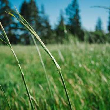 inscription 53d878b53d153c4615cd89dc7e61dcb90a276cb522a43366741becc87badf37fi0