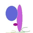 inscription 5ea3e6dad50bd59e17f9addb89414ee1003e94de426dc24601be51d48aa41287i0