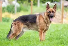 inscription 739519dd2c87fe4d91ba4b62d73e413f9647e5eb89642620d00ca6ba5cc46a7di0