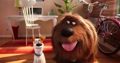 inscription 7dfcaf231f6aa30cc58b95e4d3842d2239e389752c141d03daa5c0201b5c69dci0