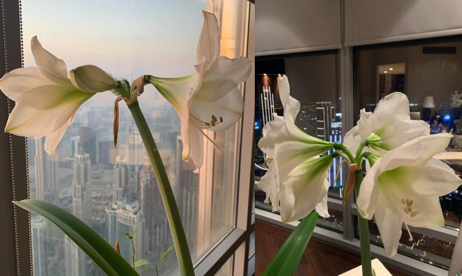 inscription 8a3467d3dbcdc6da0db20fe8072b2bb8497df7a23a7eff534d2f3459bdfd47afi0