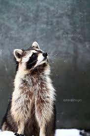 inscription 8d59dabca1f3a5bcf1193f04804d67417cd99ef88db51c0b5f5cab9e7ba8ce93i0