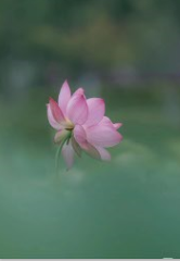 inscription 8e1216f7d24da35a555b45d7aff7208af04b0cd36b75423b836c138f958018d5i0