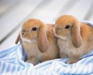 inscription 91e8afc4ebf5d8178610ad3cd408426dfbc169466b76756db816b9b4f29d558ei0