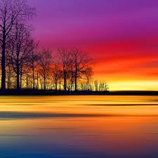 inscription 925dfec5f3d82d09c1cdabae3f67bbfc77b9c7398f649e62a012010ef0fbb84di0