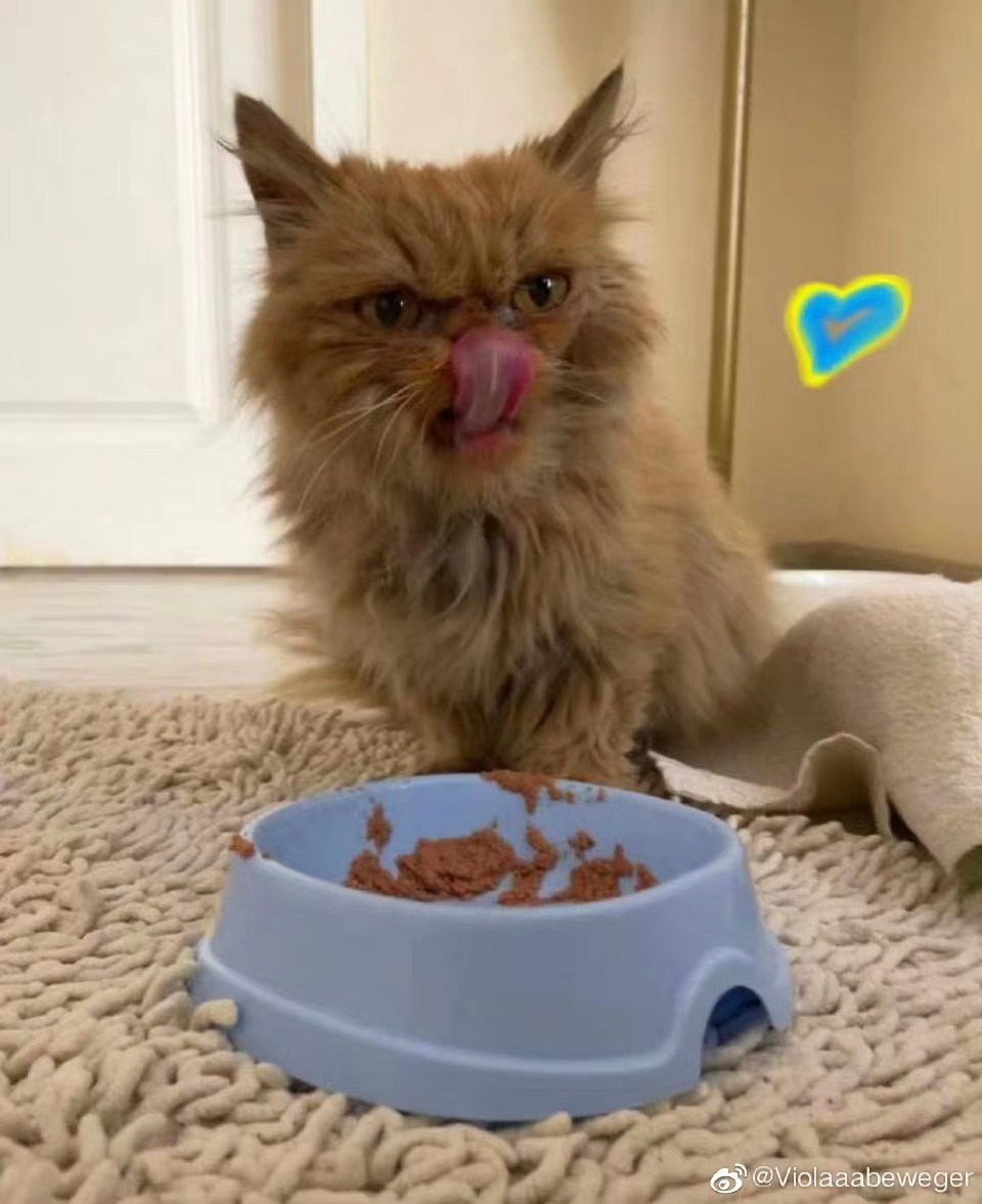 inscription 95f2aac2edb74c820764cdca5cd8f9fa0170edb6026bdcc32255f7e49b649fb0i0