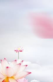 inscription 96123f93502af849be70abce04e6ee3d3809120349eb1de00d7d10169edef6b1i0