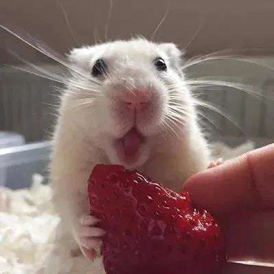 inscription 987a3ee7fb4e0f76162beb736caeddceea9ea63cd6c3b95dfae1e2d4c59afcd4i0