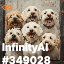 inscription a554e5a7ed55c65fd65c3e2c2d826bdd7e2c426005128a48fa8f7b4e88665e38i0