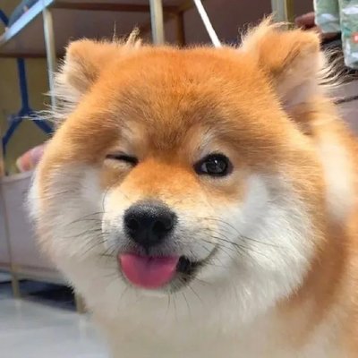 inscription af1e6feb5ec0927ca337c2e4680436a3ccabbdc9bc84d7689ab2e283fdbd4c11i0