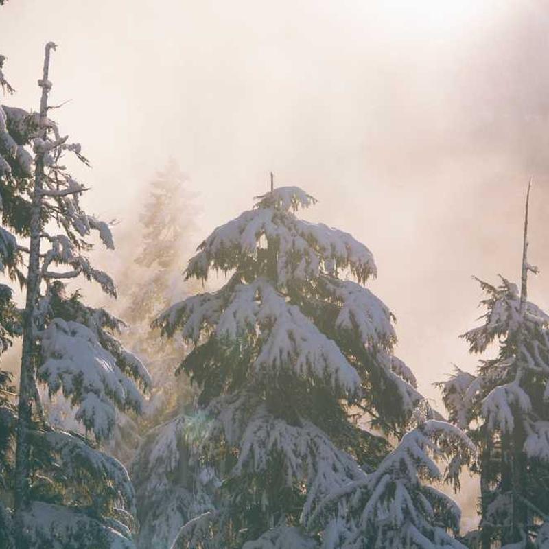 inscription afdfc192605a11cce52c547545dd94b9c6061b4a288fca59b8277886a0f9d866i0