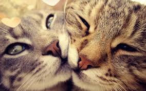 inscription b0d3c1e597c5e2a8e70638a06554d7f6e7a32eba2a42ebcc8100aa0ee63944b0i0