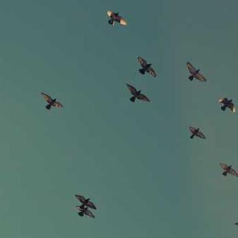 inscription b21969021e292595e1e82cc2fc54f946d6e0941c4a60c40a8a0cd9f98906f8bai0