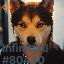 inscription b5b82f4e384a36a20c7577696b5fd545a89e5f302603b48b9ba768e5352c6711i0