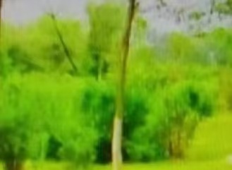 inscription c19e6793ee08020e13c8a61e31e10d4aa13f0df16c9f12a34b7bd36e903182ddi0