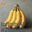 inscription c6334f2a643a0a8a0c7c5436780c282d6c65b7b4b13008971ca517a78a78f7a2i0