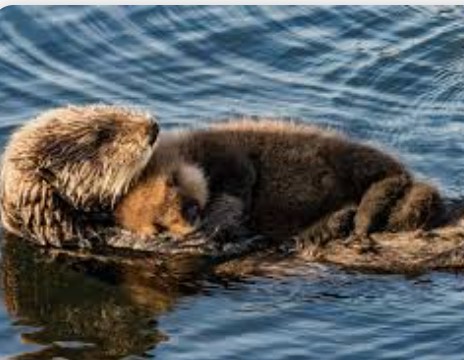 inscription c71bea62cbdc5aecfebaedbfdb4c7ed158a057d8d23a3dfee83abb0cf91c4393i0