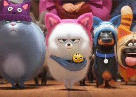 inscription c78033ded6aa960c042b31c36f1732eb3798cd1636f7d50237a0bc971c0da20fi0