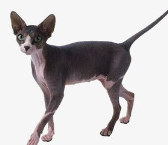 inscription cd52ded89f26e28ddfc490f5fa456acbc2fa8d012885b3fcb04587f5a4e62402i0