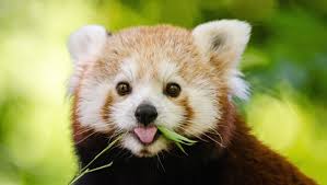 inscription d119f1ccf4b2d005f5efa2d53a25312b9287c94cd15a07adf9e00a74b0aad3e3i0