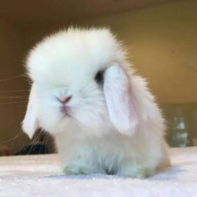 inscription d2cbeb78ca3e38d2ffaadaa08147eef3fc25c8dfbdd113f1a8af37e36e40237ai0