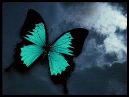 inscription db7a42a47e85e5366830cc6eec4746d56f53a8fdff458cfbddad202a50553a97i0