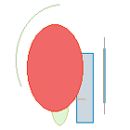 inscription ef98a8ad09f50de13723be44105da07bfa0b329ecebc73d642f1713073d43274i0