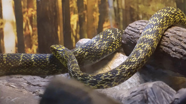 inscription f52f5fc0ed0e1bbc8a8353bd2b411e0d93db3d50235fd46aa87f8e7e167898e7i0