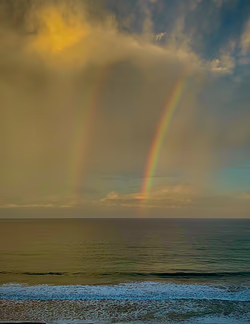 inscription fd3b42971b20f0edc6f6c5f5e70207422e2498733b50dae2161b37f3919ecb70i0